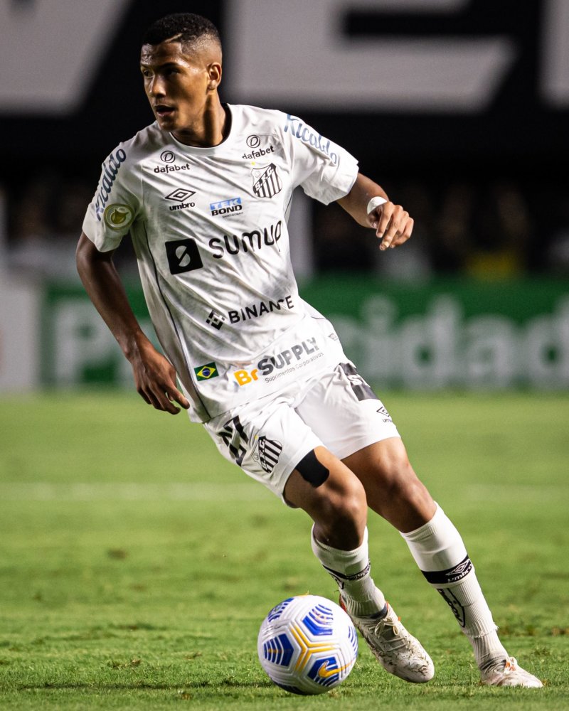 动因素包括 动因素包括