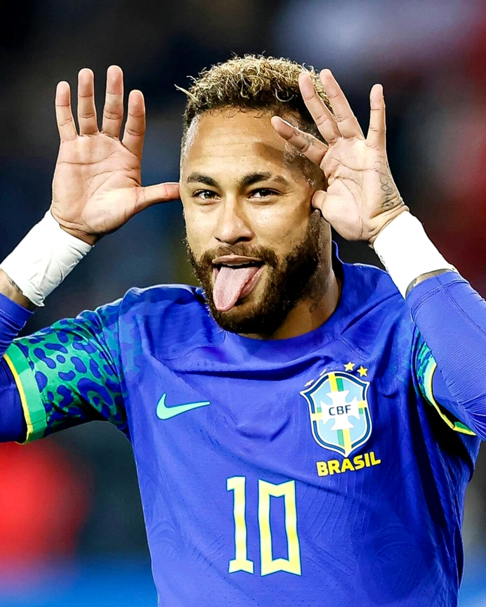 他亚洲国家 他亚洲国家