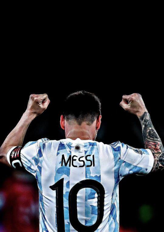 赛节奏对每 赛节奏对每